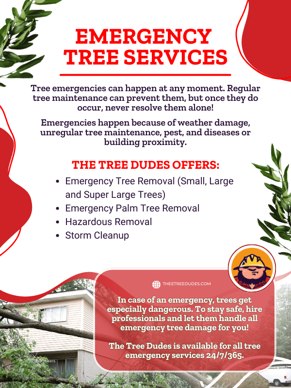 Commercial Tree Services Bell Gardens thumbnail